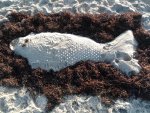 Fisch aus Sand bei Wustrow